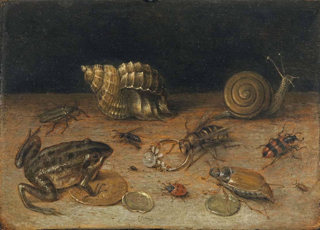 Still life with Frog